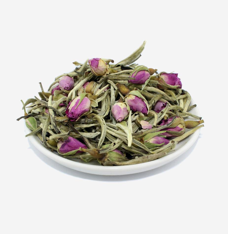 Jasmine Green